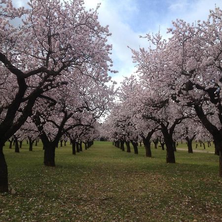 Appartamento El Raco De Les Grases Horta de Sant Joan Esterno foto